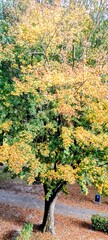 Herfst