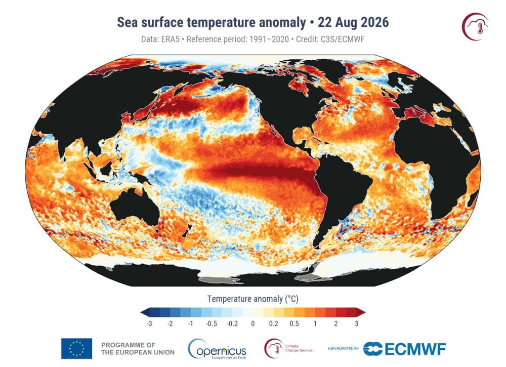 De temperaturen van de wereldzee&euml;n zijn recordhoog. Vooral het warme gebied tussen Zuid-Amerika en Zuidoost-Azi&Atilde;&laquo; springt er uit: het brongebied van de El Nino. (Bron: Copernicus)