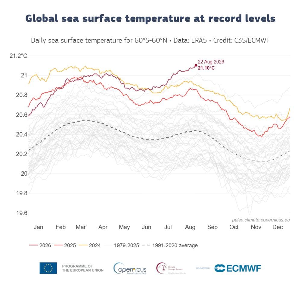 Nog nooit waren de oceanen wereldwijd zo warm als nu gemeten. Opvallend is dat de piek dit jaar in augustus valt. De krachtige El Nino draagt hier aan bij.