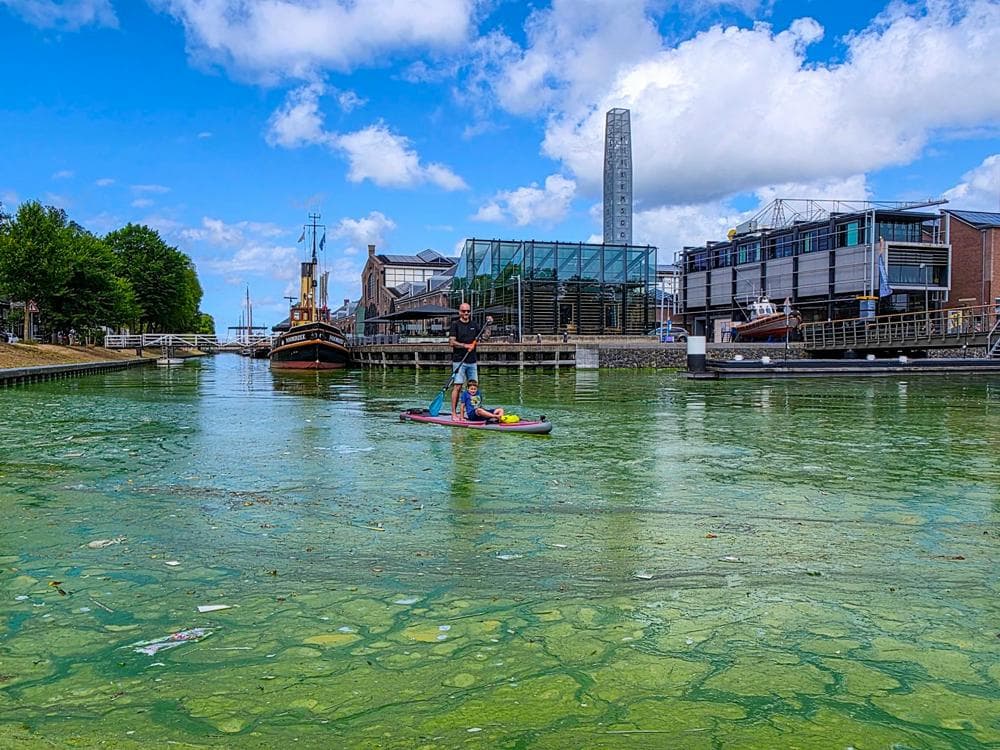 Waterkwalteit wordt vaak beoordeelt op blauwalg (foto: Nel van Es)