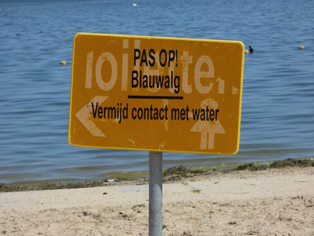 Waarschuwing om hier niet te gaan zwemmen (foto: Chris Meewis)