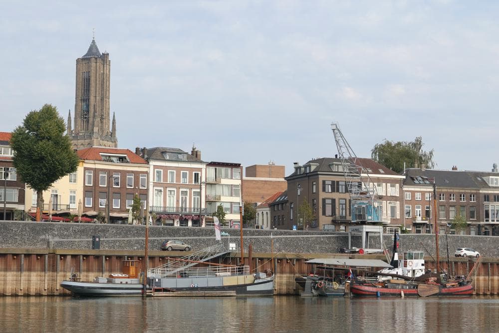 Artikel afbeelding
