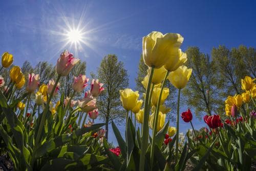 Lente 2026: warm, zonnig en droog