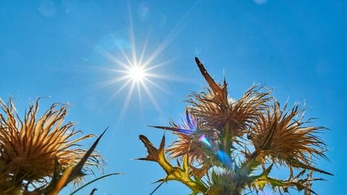 Ontsnapte Nederland aan een nóg hetere zomer?