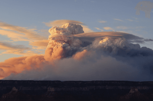 Pyrocumulonimbus, de vuurwolk