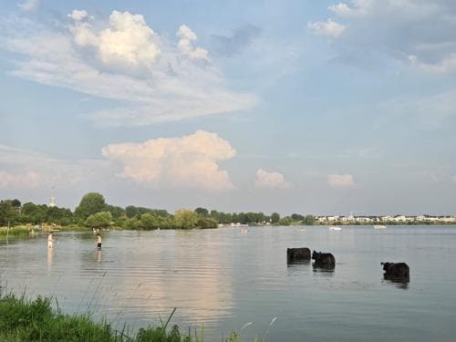 Drie hittegolven, elk zijn eigen karakter