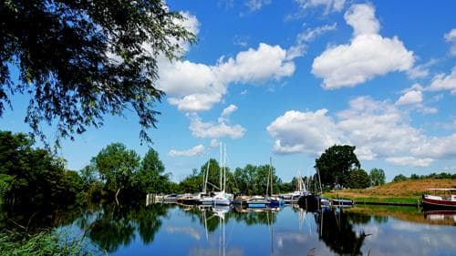 Uniek: Ell noteert nu al vierde regionale hittegolf! 