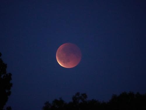 Vrijdag gedeeltelijke maansverduistering in Nederland