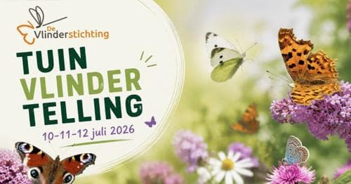 Landelijke tuinvlindertelling 10-12 juli 2026