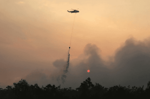 El Niño wakkert bosbranden aan in Indonesië