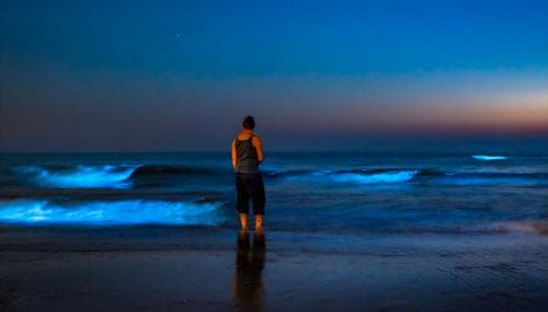 Lichtshows in de nacht