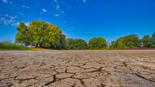 Droogte in het land