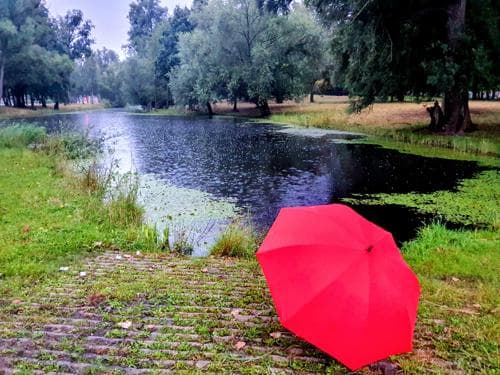 Eindelijk regen: is de droogte voorbij?