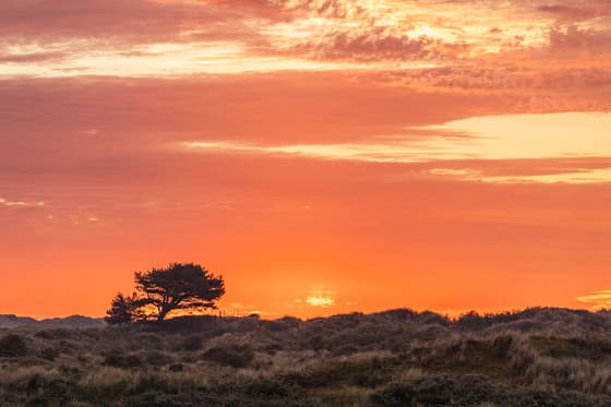 zonsopkomst ameland 21-06-2026