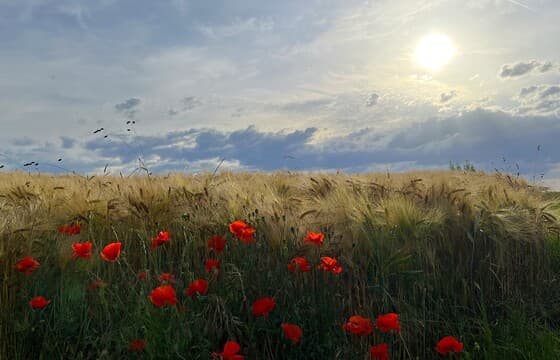 Aangename ochtend met zon, wolken en donkere lucht in Simpelveld