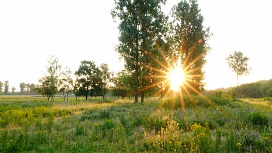 zonsopkomst