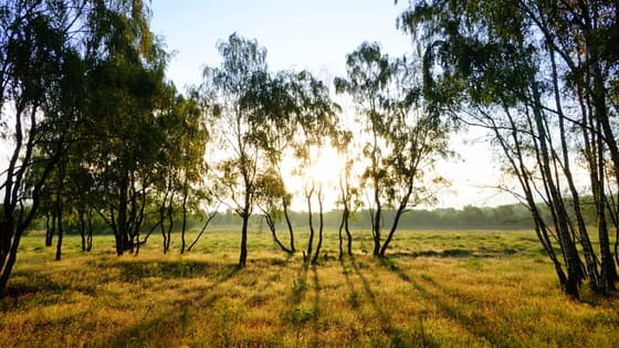 zonsopkomst