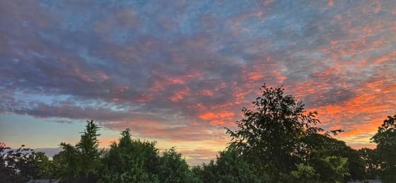Kleurrijk vanmorgen