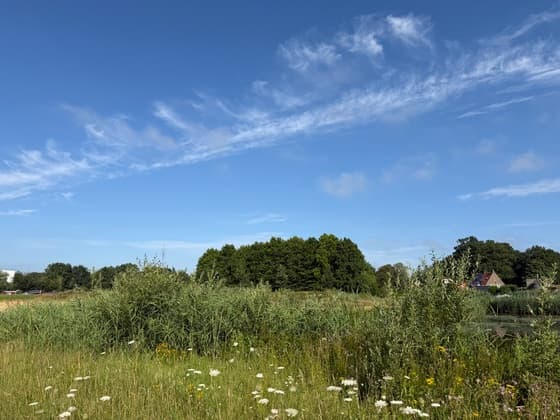 Blauwe lucht en sluierbewolking 