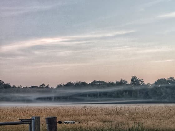 Nevel boven de velden smorgens vroeg 