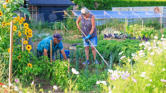 De temperaturen stijgen (tuinieren)