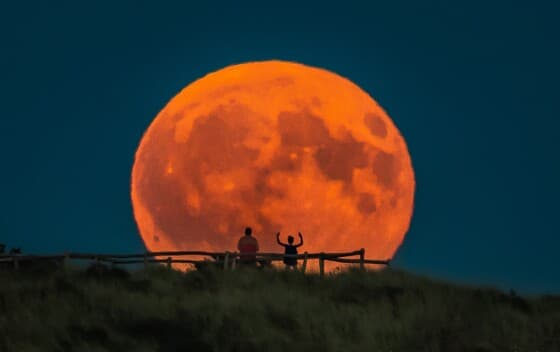 Volle maan in de duinen!