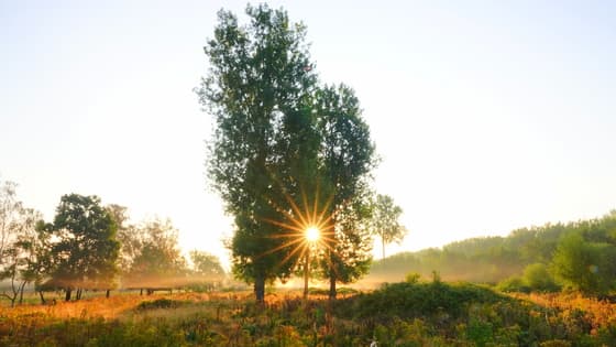 zonsopkomst