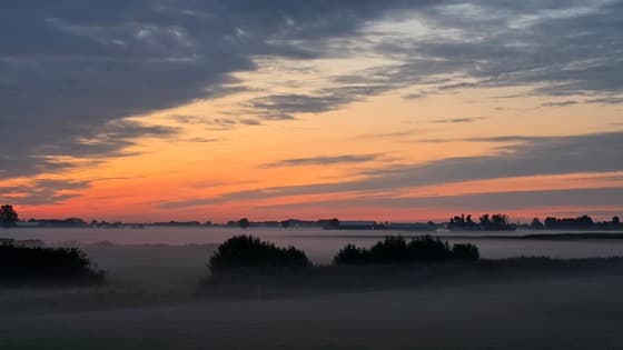 Grondmist Hoekschewaard 