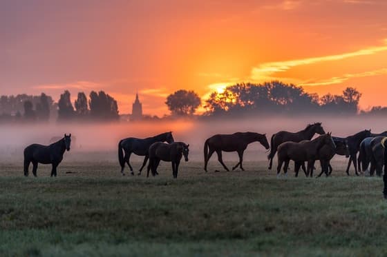 Magische Sunrise