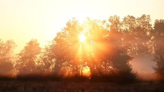 zonsopkomst
