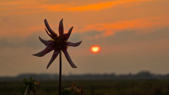 Zonsondergang!