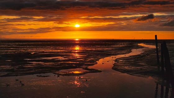 zonsopkomst Waddenzee 