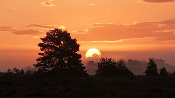 Genieten van de zonsopkomst