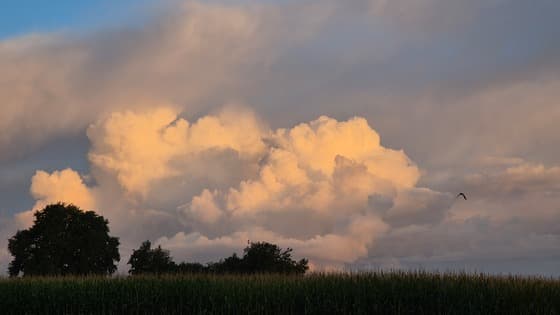 Mooie wolkenluchten 