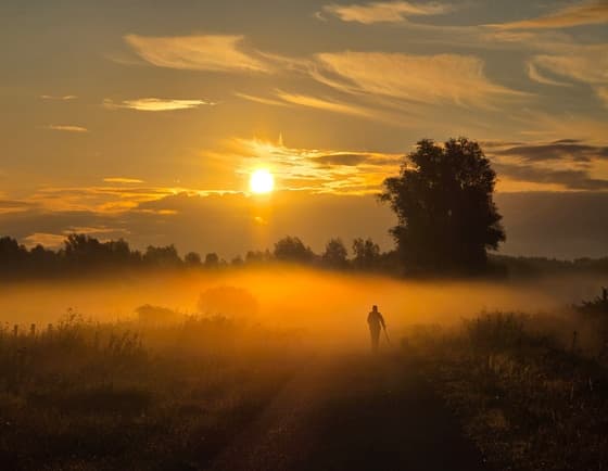 Nevelige ochtend in Breda