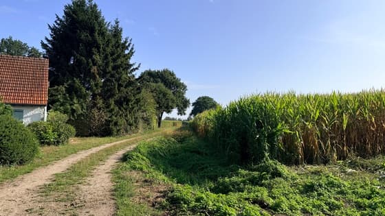 Ochtendwandeling 