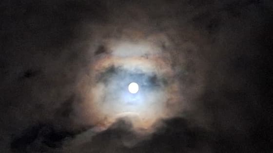niet veel later dringen wolken zich op.