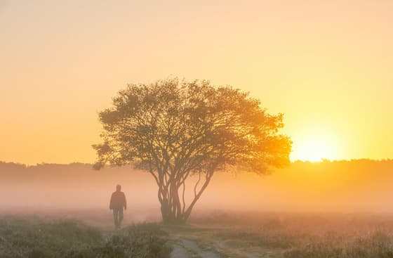 Zonsopkomst met nevel