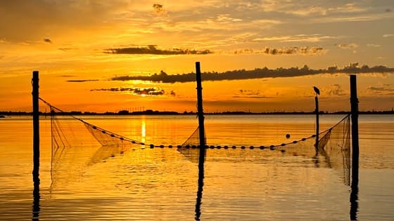 Zonsondergang IJsselmeer 
