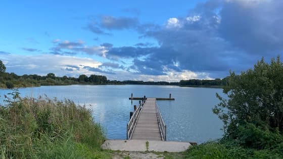 Koedijk