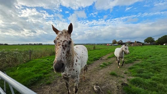 Buienradar krijgen wij vandaag nog zon met opklaringen?