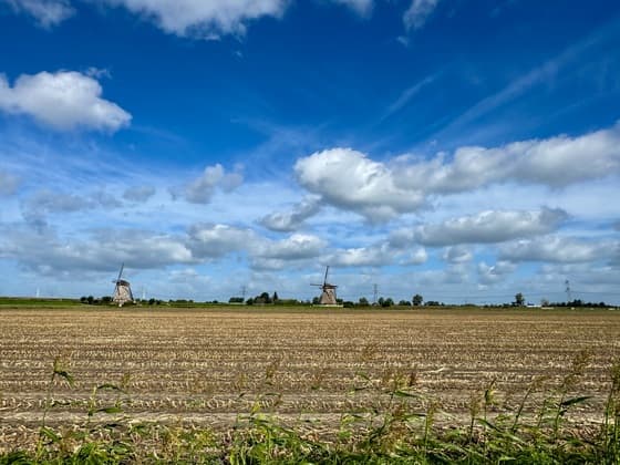 Wolkenvelden 