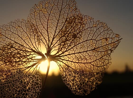 Zonsondergang 