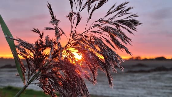 Zonsondergang met kleur na een bewolkte dag