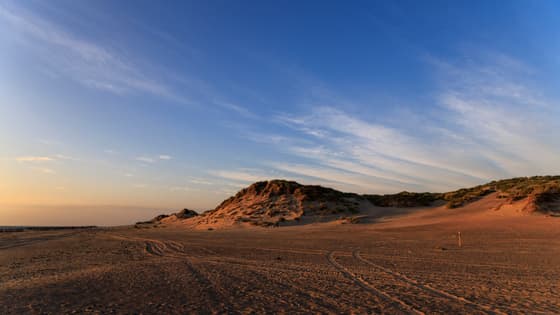 Kop van Schouwen. 