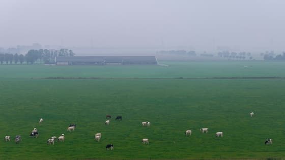 Mistig begin van de dag in Brabant.