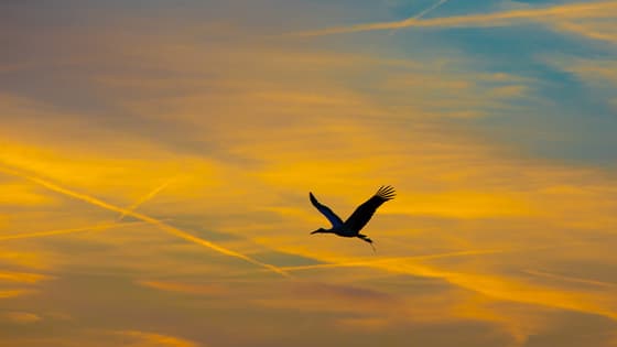  Gekleurde start van de zondag in Meteren