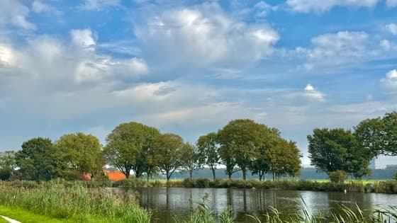 September zon