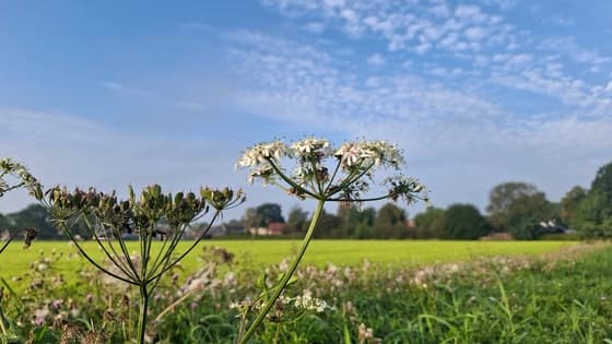 Begin van de dag 