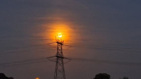 nog bijna volle maan